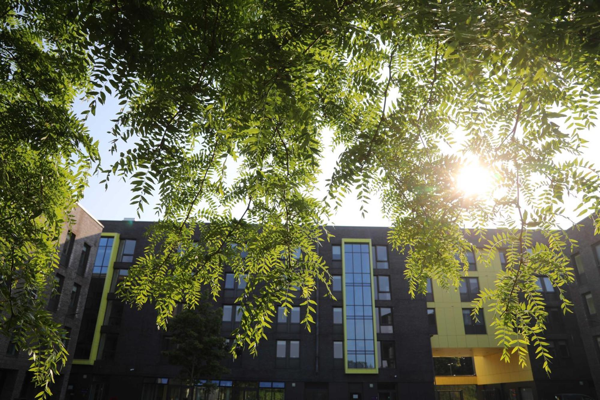 Goldcrest Village Apartments University Of غالواي المظهر الخارجي الصورة